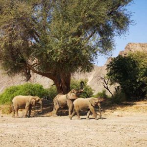 African Expeditions | Nambia 4x4 Trip