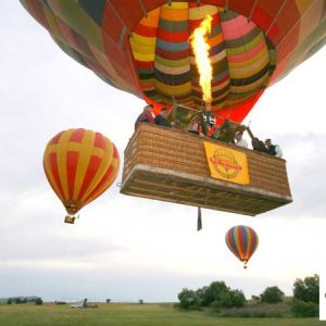 Bill Harrops Balloon Safaris
