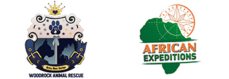 Woodrock | African Expeditions